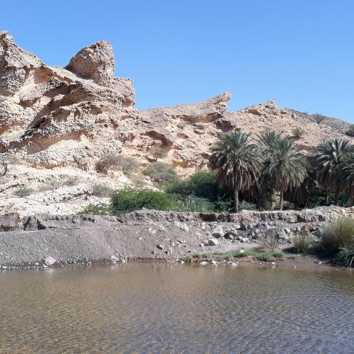 Photo #4276012