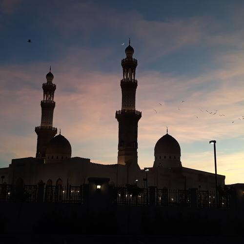 Photo #4276015