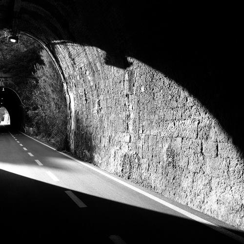 Photo #4276316