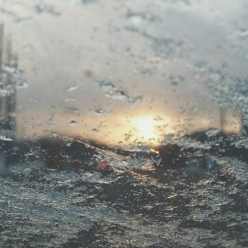 Photo #4276354