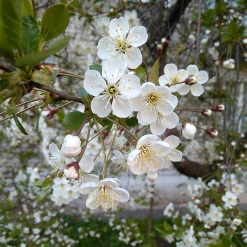 Photo #4276463
