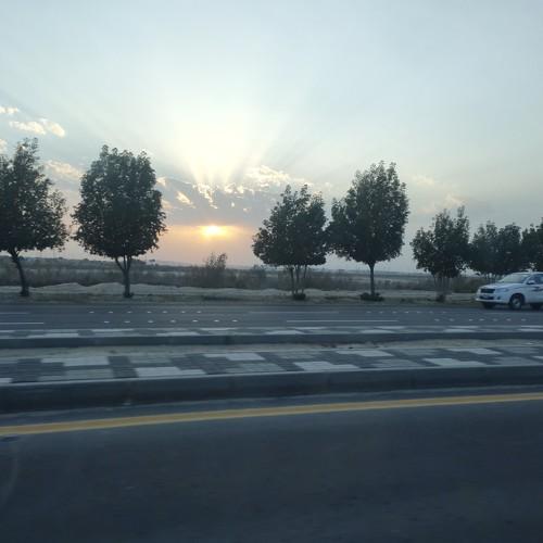 Photo #4276948