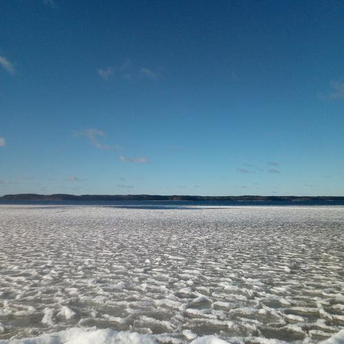 Photo #4277186