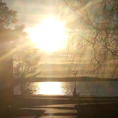 Photo #4277217