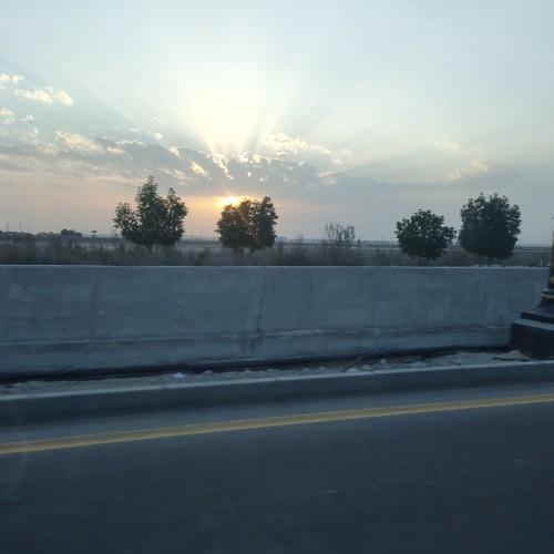 Photo #4277240