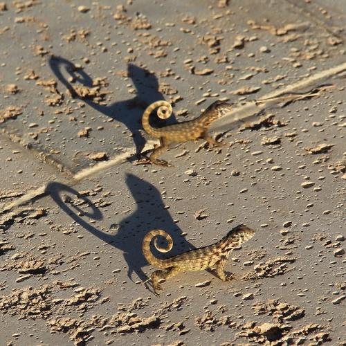 Photo #4278019