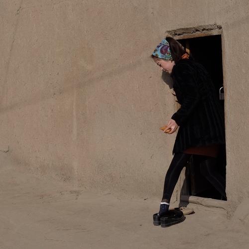 Photo #4278664