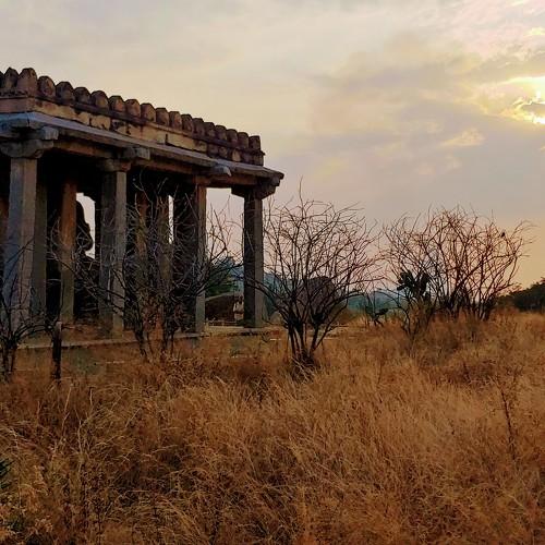 Photo #4278674