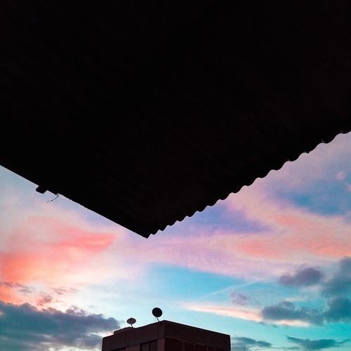 Photo #4278832