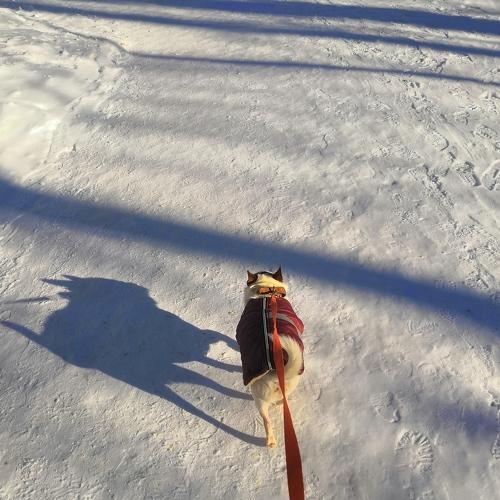 Photo #4278911