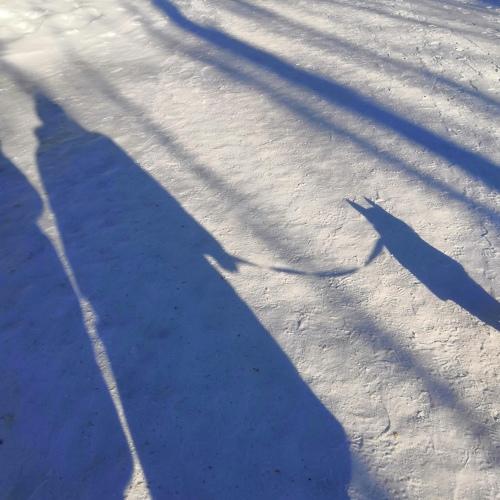 Photo #4278914