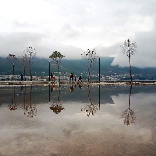 Photo #4279562