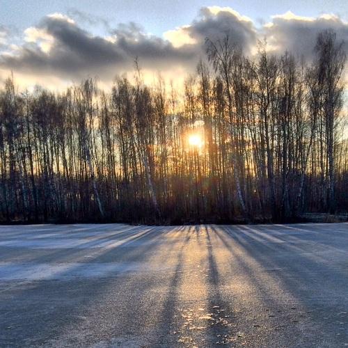 Photo #4279576