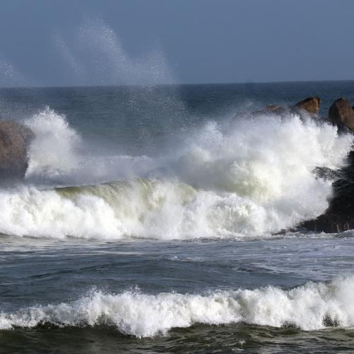 Photo #4279690