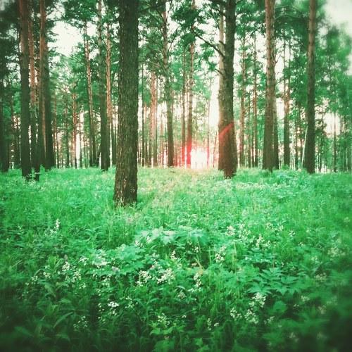 Photo #4279797
