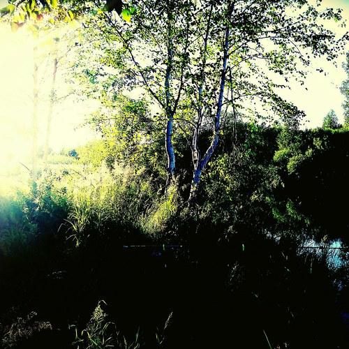 Photo #4279802