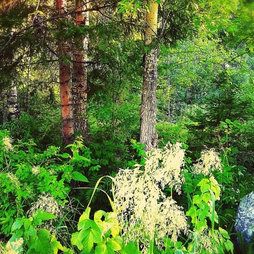 Photo #4279804