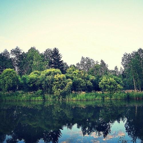 Photo #4279807