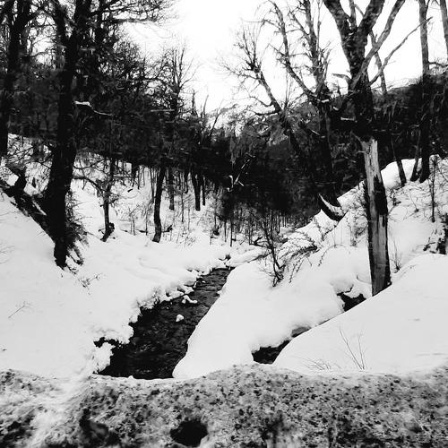 Photo #4279898