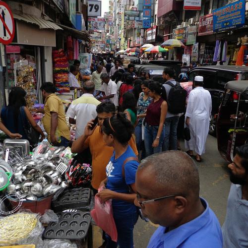 Photo #4280148