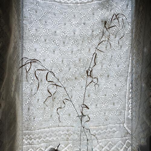 Photo #4280479