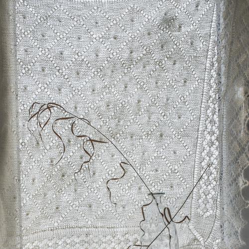 Photo #4280489