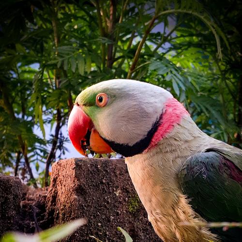 Photo #4280923
