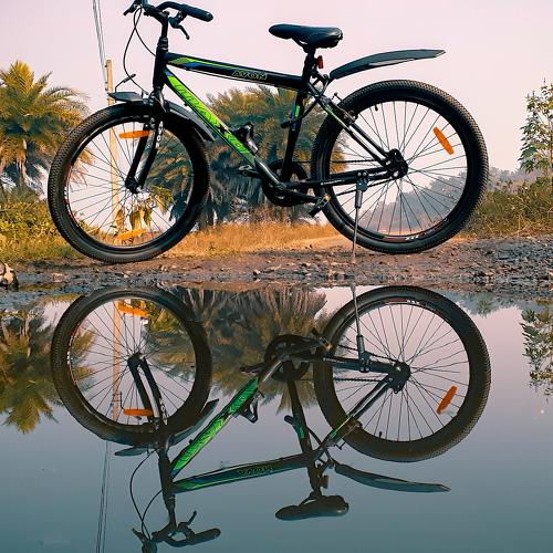 Photo #4280931
