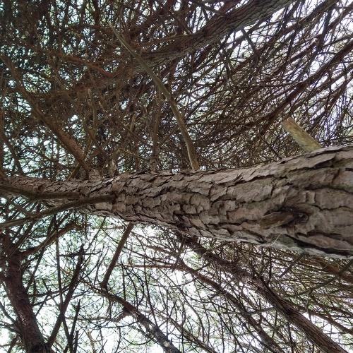 Photo #4281330