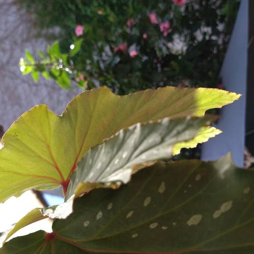 Photo #4281334