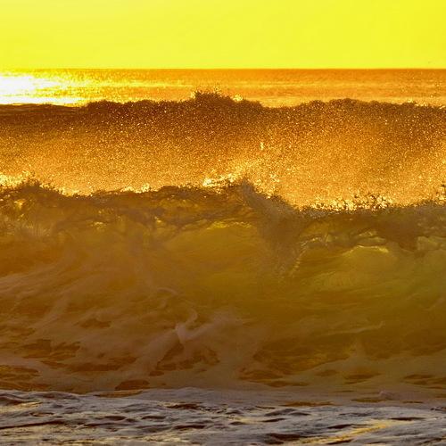 Photo #4281437