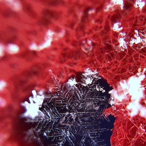 Icy heart