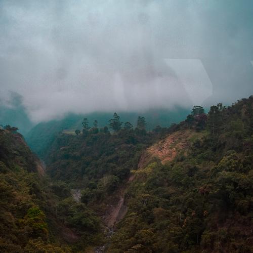 Photo #4281613