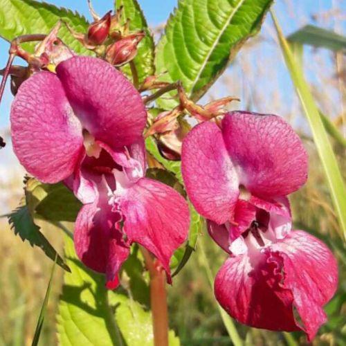 Photo #4281687