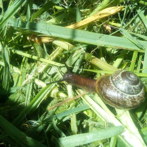 Photo #4281701