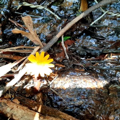 Photo #4281746