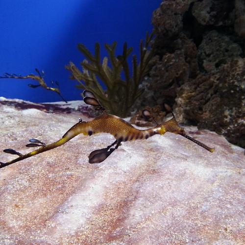 Photo #4281793