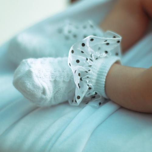 Photo #4282091