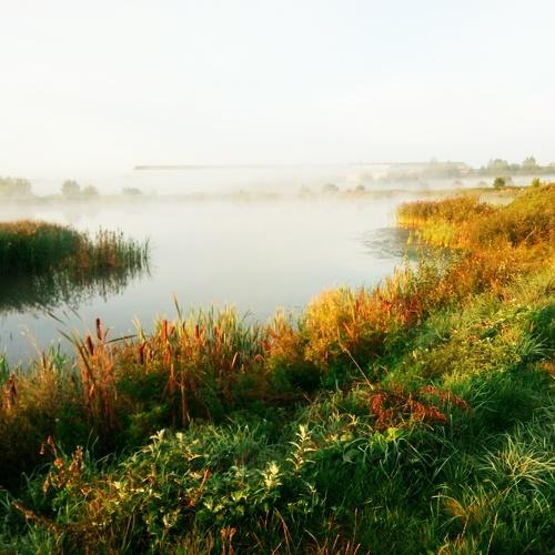 Photo #4282299