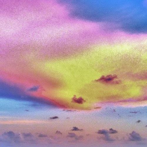 Photo #4282497