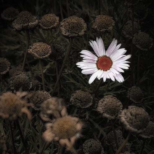 Photo #4282638