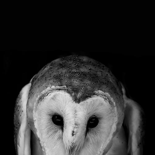 Archimedes