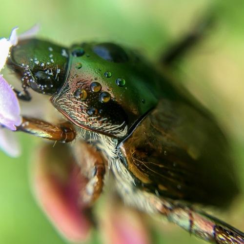Photo #4283186