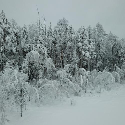 Photo #4283220