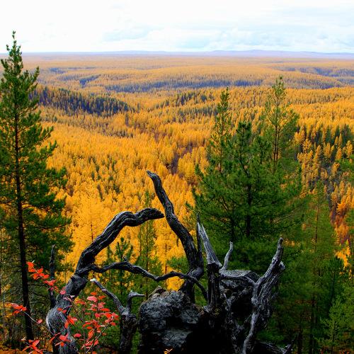 Photo #4283265