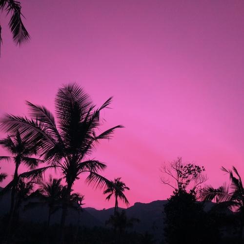 Photo #4283293