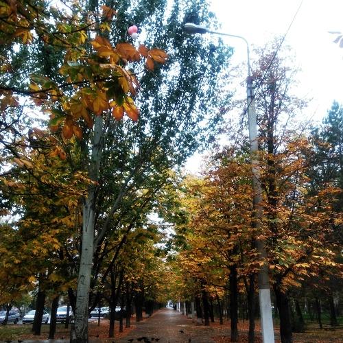 Photo #4283305