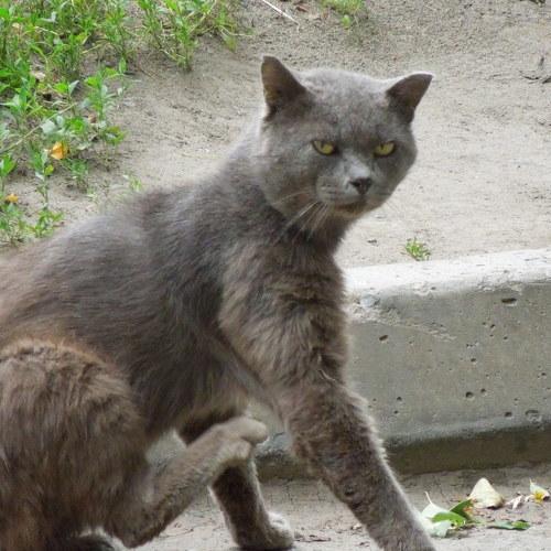 Photo #4283802