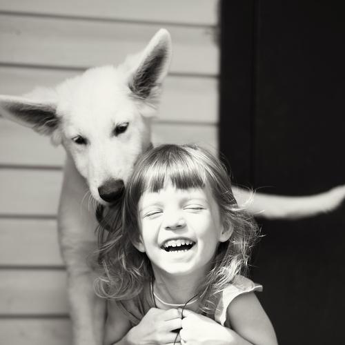 Photo #4284185