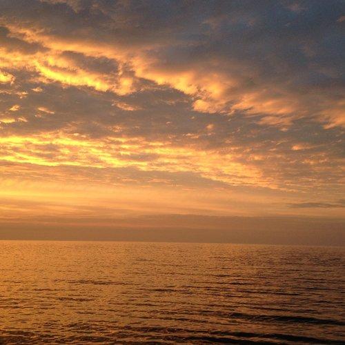 Photo #4284191